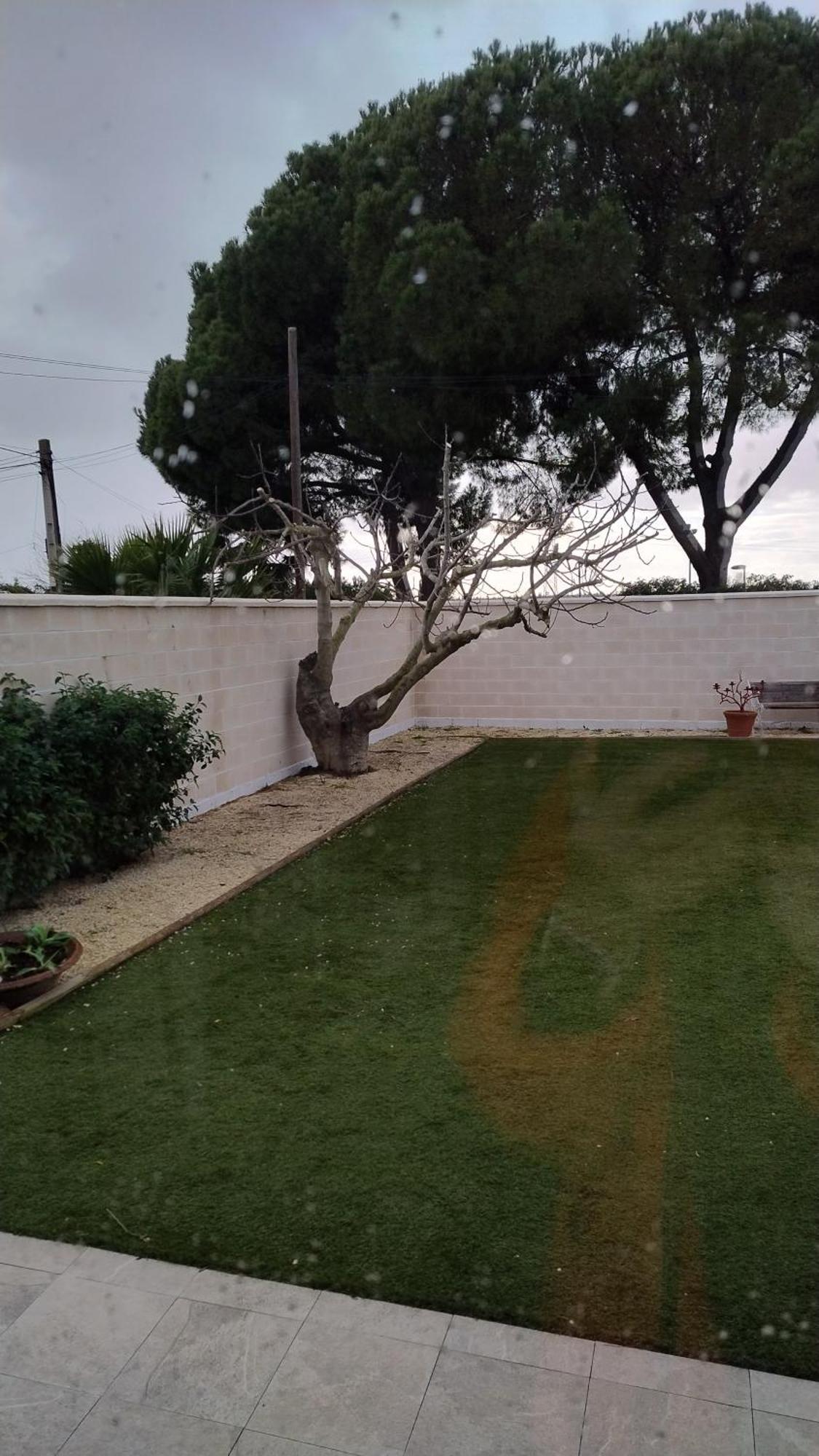 דירות סביליה Casa Oliva 52 מראה חיצוני תמונה